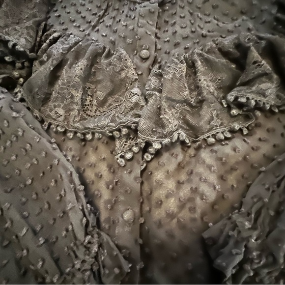 LoveShackFancy Erica SWISS DOT HIGH NECK LACE BLOUSE Ruffled Button Front Sheer - Picture 16 of 16